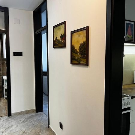 Apartman Darvin / Lux Belgrado Esterno foto