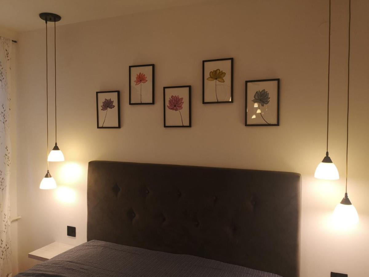 Apartman Darvin / Lux Belgrado Esterno foto