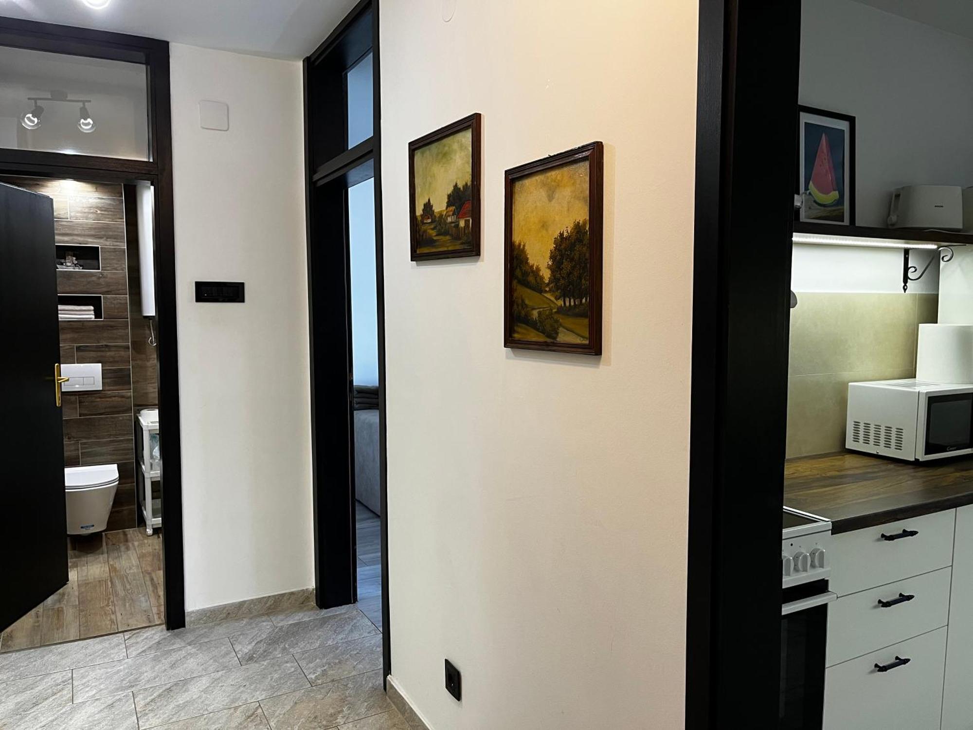 Apartman Darvin / Lux Belgrado Esterno foto
